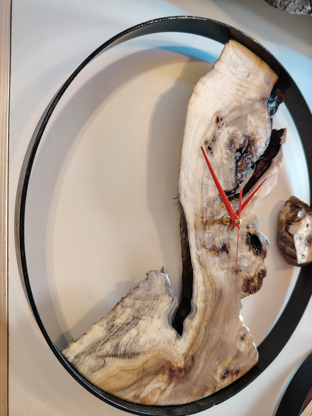 Orologio radica di pioppo