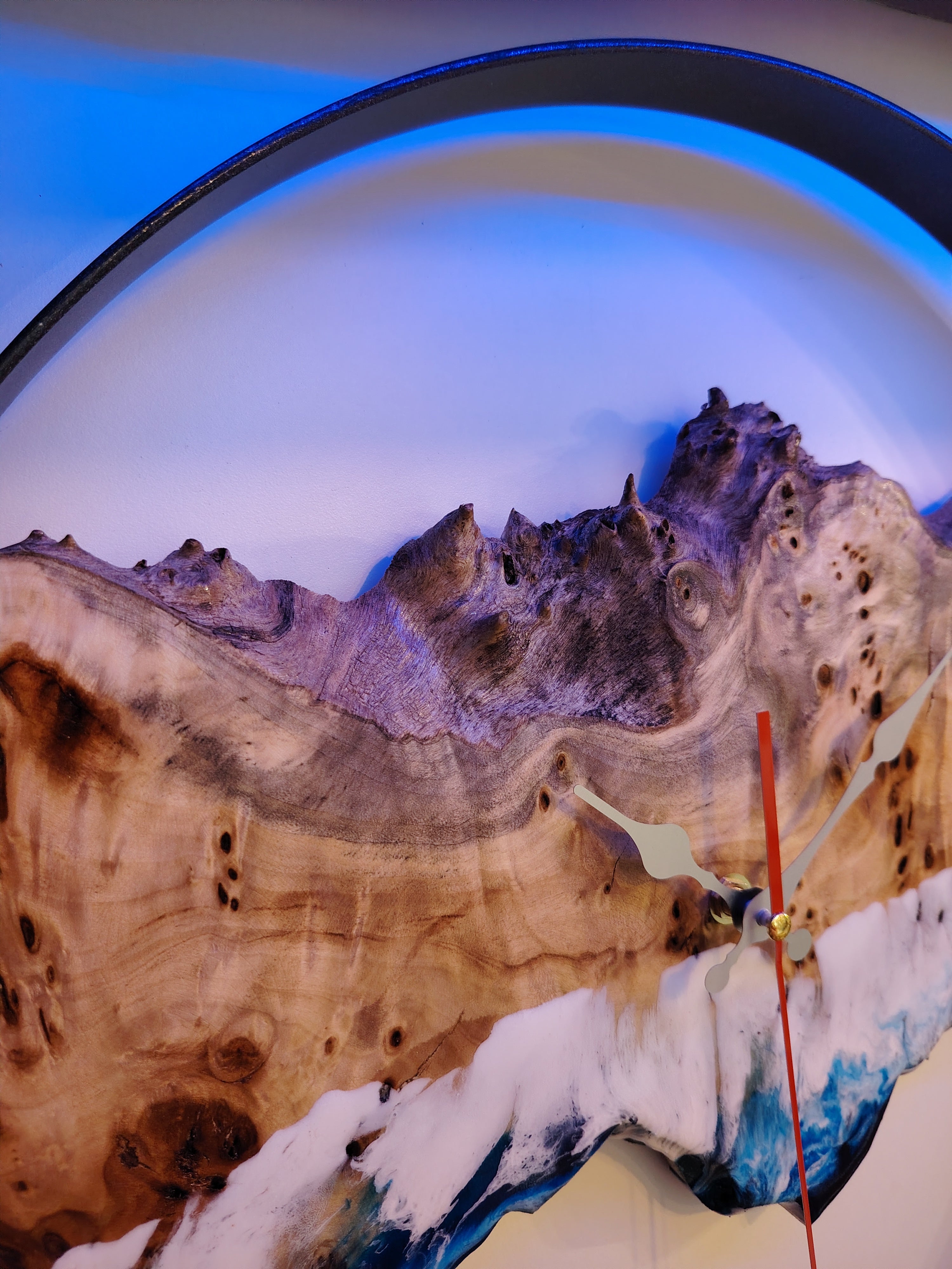 Orologio pioppo radicato