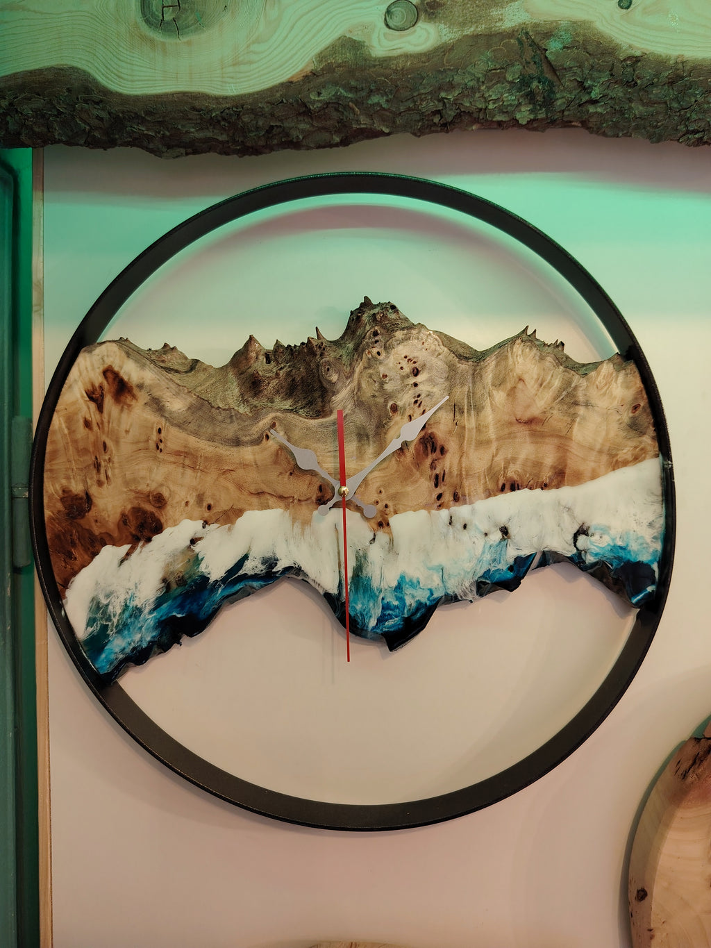 Orologio pioppo radicato