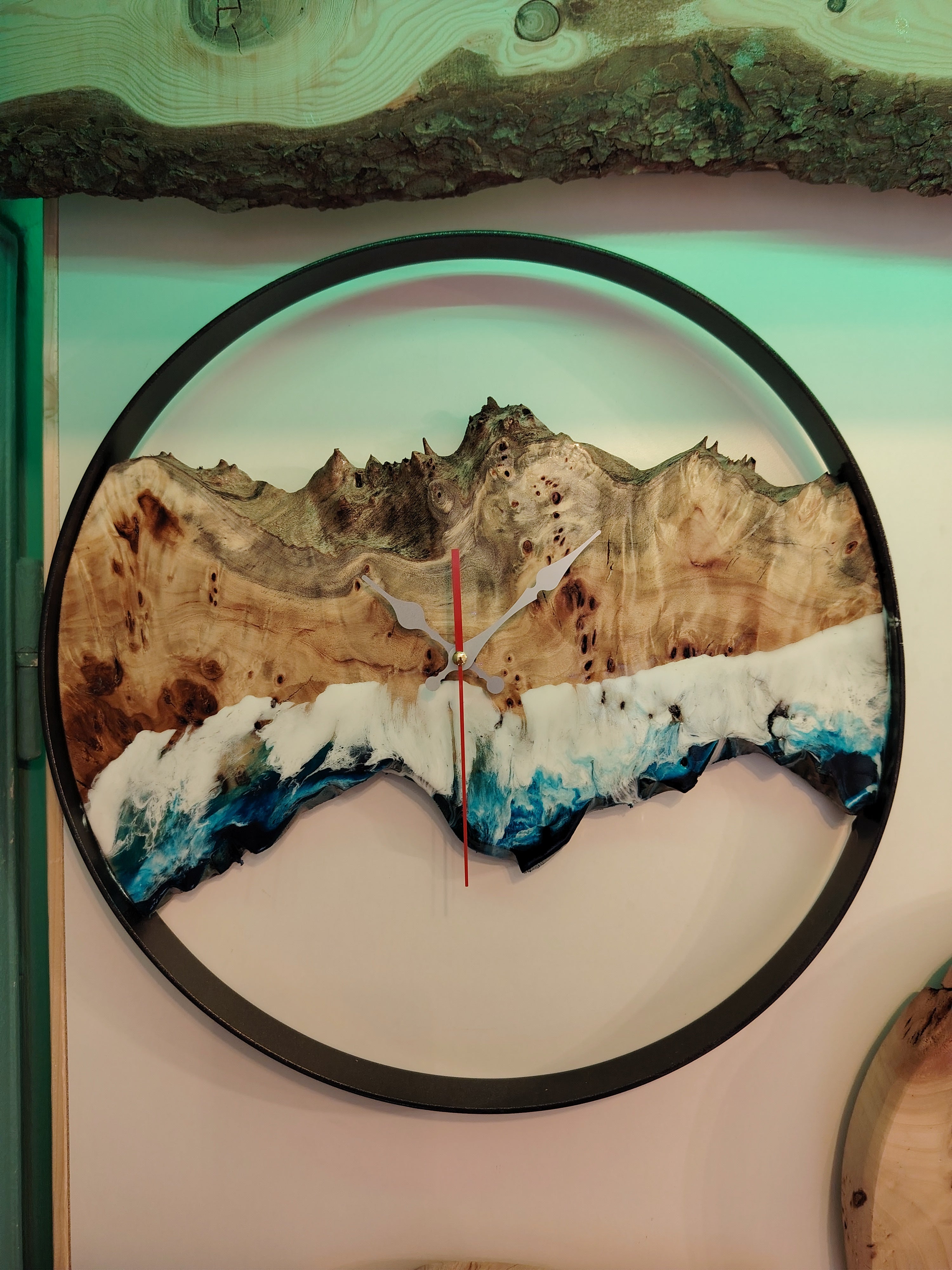 Orologio pioppo radicato